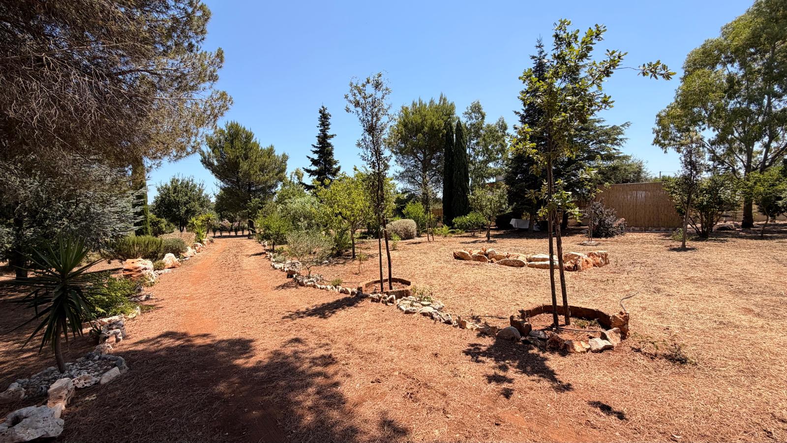 Trulli Comunicanti, Restaurati con Antico Camino, Ulivi Secolari.